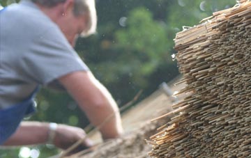 professional Tredethy thatchers